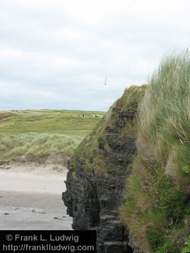 Rosses Point